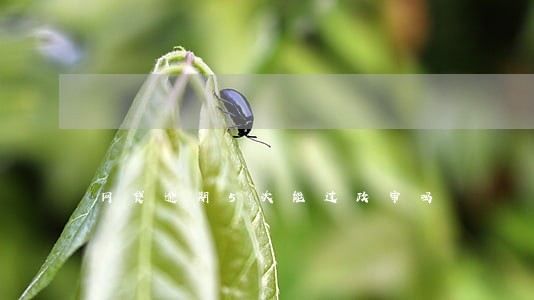 网贷逾期5次能过政审吗 网贷逾期5次能过政审吗