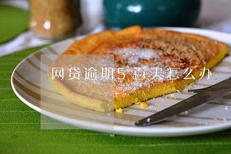 网贷逾期5百天怎么办