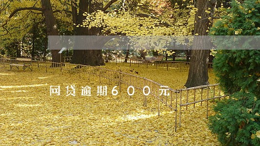 网贷逾期600元