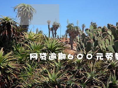 网贷逾期600元劳务费 网贷逾期600元劳务费