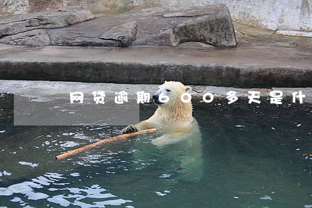 网贷逾期600多天是什么概念 网贷逾期600多天是什么概念