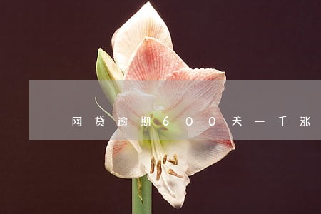 网贷逾期600天一千涨到三千