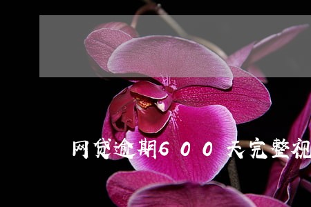 网贷逾期600天完整视频 网贷逾期600天完整视频