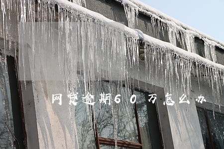 网贷逾期60万怎么办