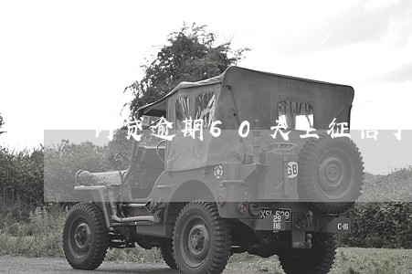 网贷逾期60天上征信了 网贷逾期60天上征信了