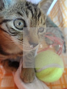网贷逾期60天严重吗 网贷逾期60天严重吗