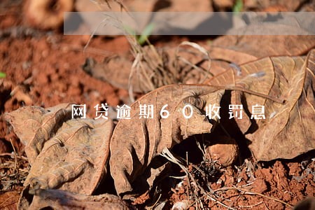 网贷逾期60收罚息 网贷逾期60收罚息