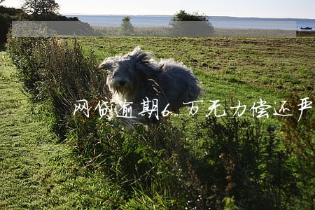 网贷逾期6万无力偿还严重吗 网贷逾期6万无力偿还严重吗