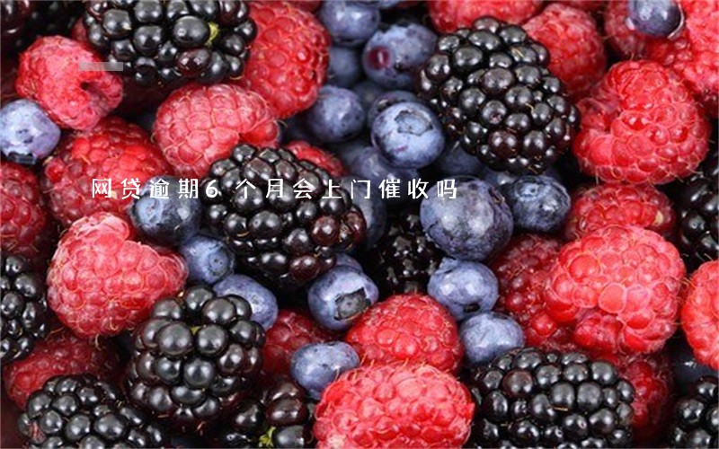 网贷逾期6个月会上门催收吗 网贷逾期6个月会上门催收吗