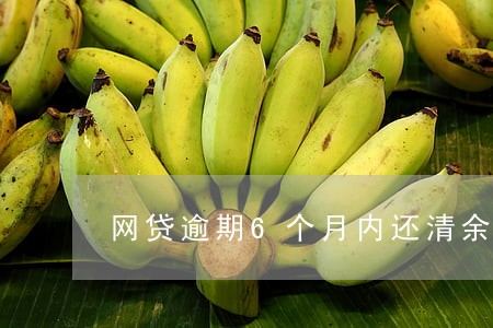 网贷逾期6个月内还清余款无利息 网贷逾期6个月内还清余款无利息
