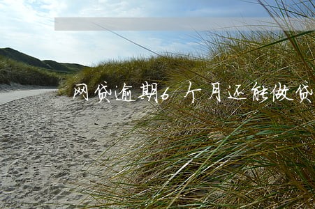网贷逾期6个月还能做贷款吗 网贷逾期6个月还能做贷款吗