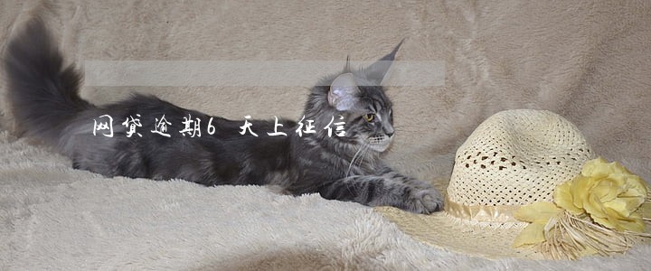 网贷逾期6天上征信