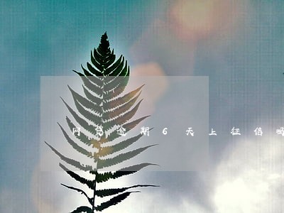 网贷逾期6天上征信吗