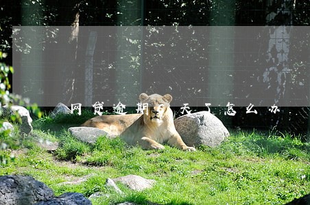 网贷逾期6天了怎么办 网贷逾期6天了怎么办