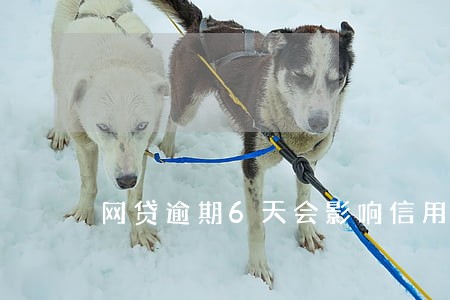 网贷逾期6天会影响信用吗 网贷逾期6天会影响信用吗