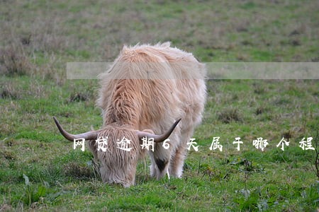 网贷逾期6天属于哪个程度了 网贷逾期6天属于哪个程度了