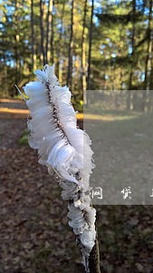 网贷逾期6天被威胁 网贷逾期6天被威胁