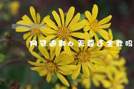 网贷逾期6天要还全款吗 网贷逾期6天要还全款吗