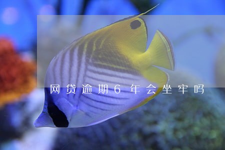 网贷逾期6年会坐牢吗