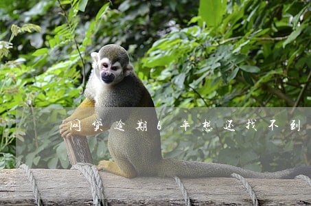 网贷逾期6年想还找不到电话 网贷逾期6年想还找不到电话