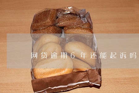 网贷逾期6年还能起诉吗 网贷逾期6年还能起诉吗