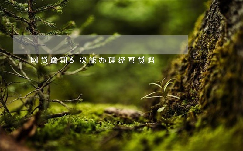 网贷逾期6次能办理经营贷吗
