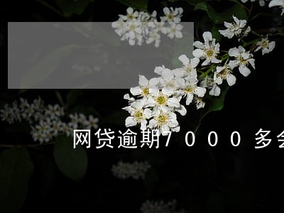 网贷逾期7000多会冻结资产吗 网贷逾期7000多会冻结资产吗