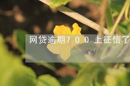 网贷逾期700上征信了有影响吗