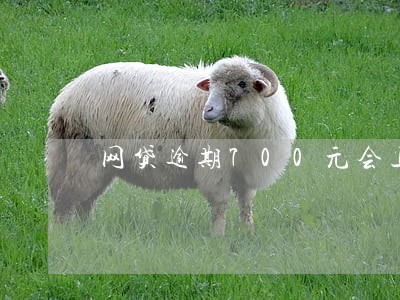 网贷逾期700元会上门要钱吗 网贷逾期700元会上门要钱吗