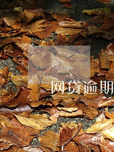 网贷逾期70天会怎样 网贷逾期70天会怎样