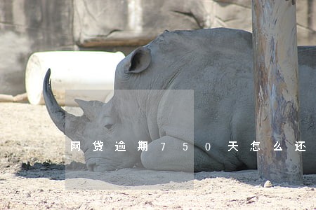 网贷逾期750天怎么还 网贷逾期750天怎么还