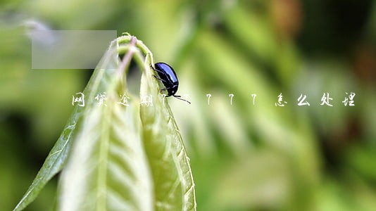 网贷逾期77777怎么处理 网贷逾期77777怎么处理