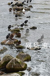 网贷逾期77万 网贷逾期77万