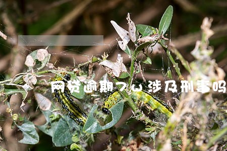 网贷逾期7w涉及刑事吗 网贷逾期7w涉及刑事吗