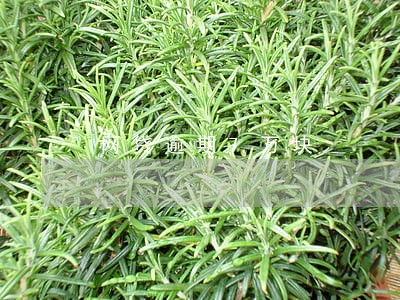 网贷逾期7万块 网贷逾期7万块