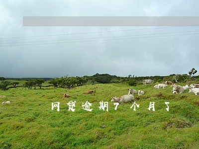 网贷逾期7个月了