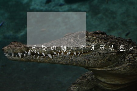 网贷逾期7个月可以座火车吗 网贷逾期7个月可以座火车吗