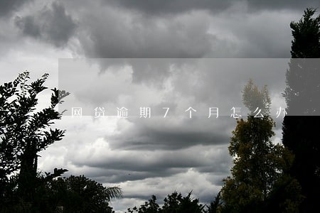 网贷逾期7个月怎么办 网贷逾期7个月怎么办