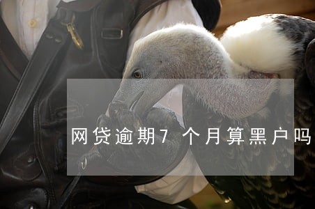 网贷逾期7个月算黑户吗 网贷逾期7个月算黑户吗