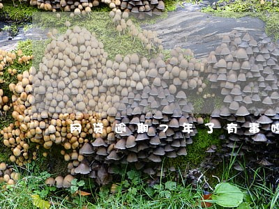 网贷逾期7年了有事吗 网贷逾期7年了有事吗