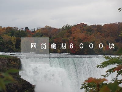 网贷逾期8000块 网贷逾期8000块