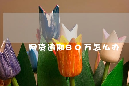 网贷逾期80万怎么办 网贷逾期80万怎么办