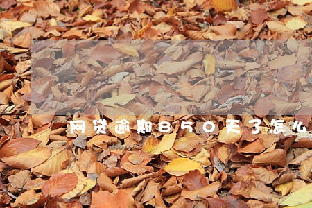 网贷逾期850天了怎么办 网贷逾期850天了怎么办