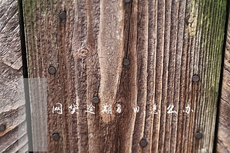 网贷逾期8w怎么办 网贷逾期8w怎么办