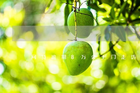 网贷逾期8万会上门走访吗 网贷逾期8万会上门走访吗