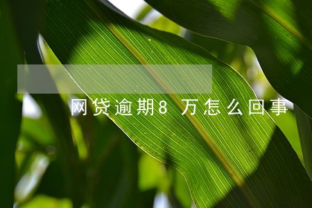 网贷逾期8万怎么回事 网贷逾期8万怎么回事