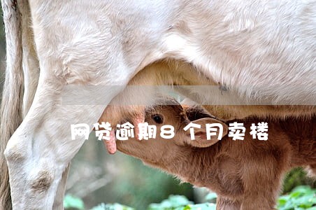 网贷逾期8个月卖楼 网贷逾期8个月卖楼