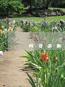 网贷逾期8个月经历 网贷逾期8个月经历