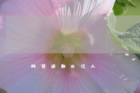 网贷逾期8亿人 网贷逾期8亿人