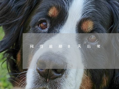 网贷逾期8天后果 网贷逾期8天后果